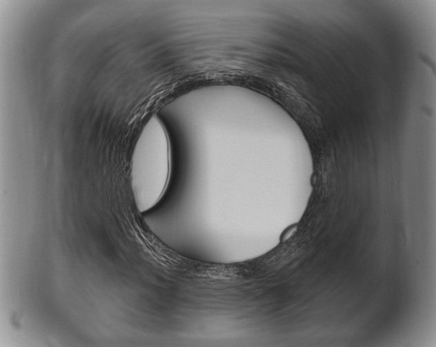 X0000102501012200808080940