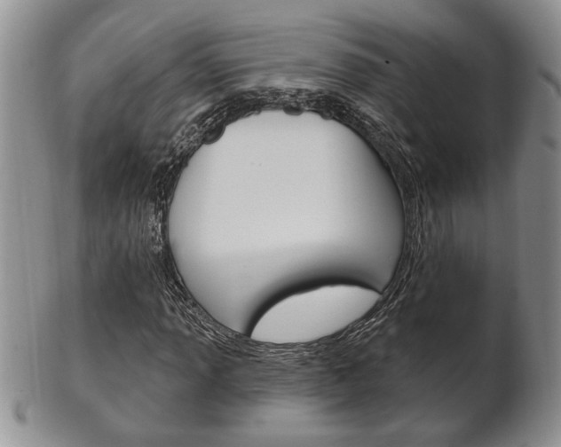 X0000102501013200808080940