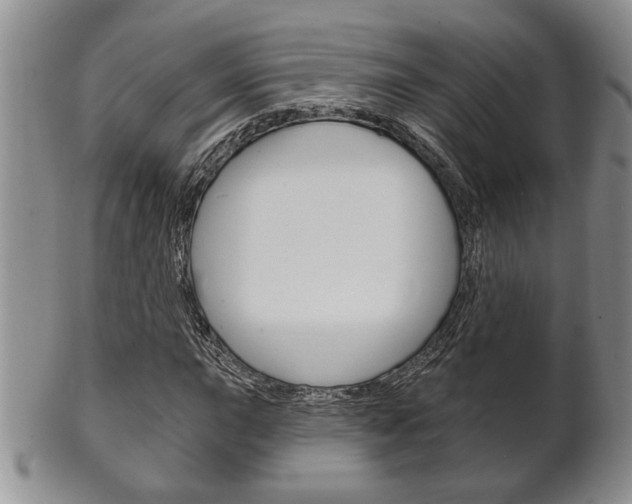 X0000102501015200808080940