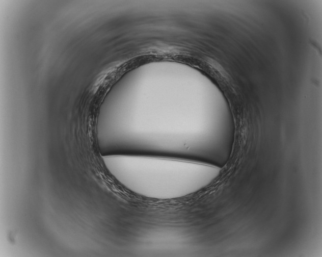X0000102501016200808080940