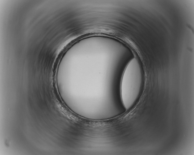 X0000102501020200808080940