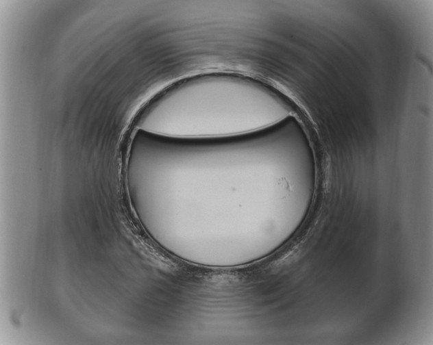 X0000102501021200808080940