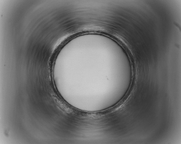 X0000102501022200808080940
