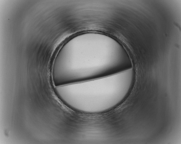X0000102501024200808080940