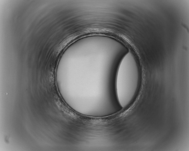 X0000102501025200808080940