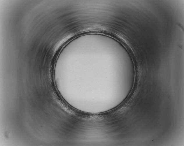 X0000102501026200808080940