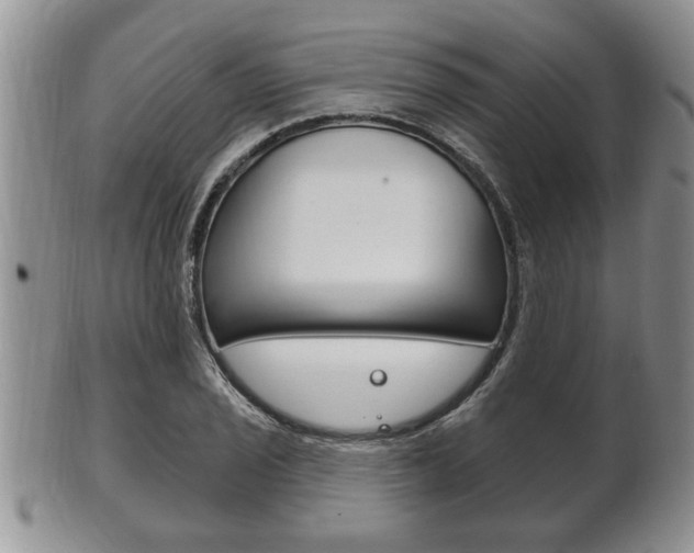 X0000102501029200808080940