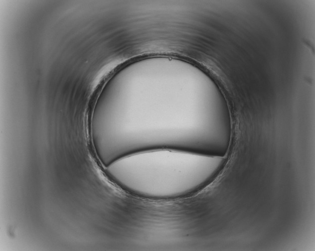X0000102501030200808080940