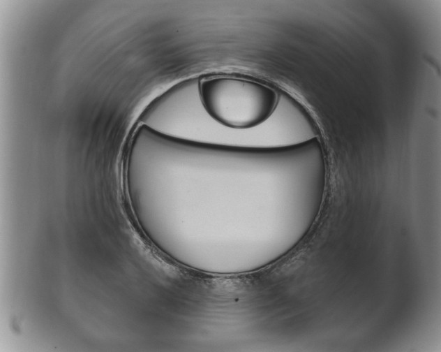 X0000102501032200808080940