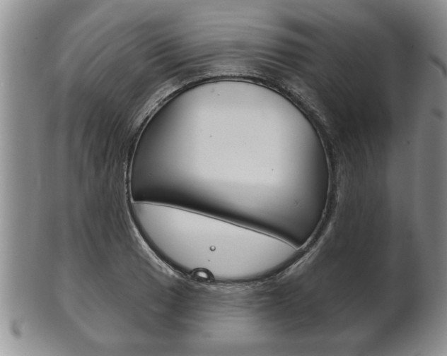 X0000102501033200808080940