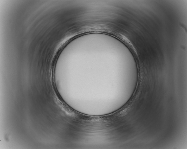 X0000102501035200808080940