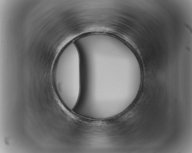 X0000102501037200808080940