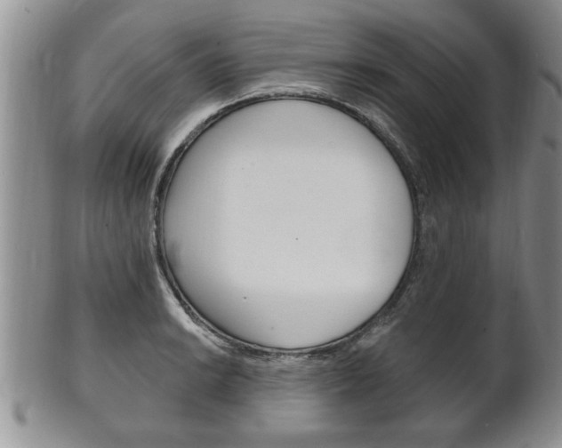 X0000102501038200808080940