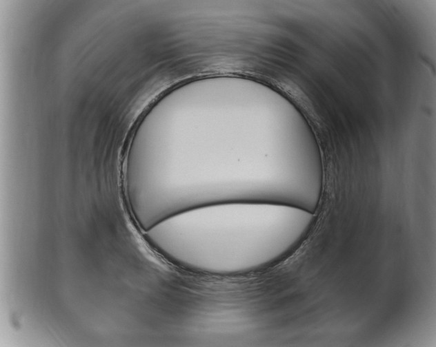 X0000102501039200808080940