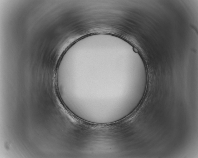 X0000102501040200808080940