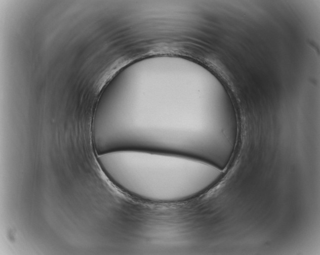 X0000102501041200808080940
