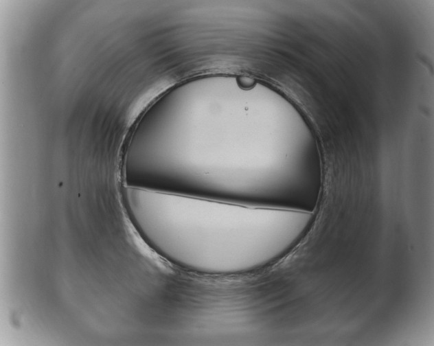 X0000102501042200808080940