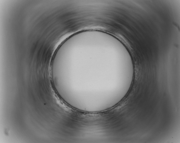 X0000102501044200808080940