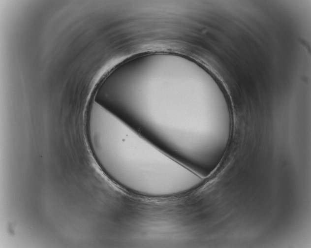 X0000102501045200808080940
