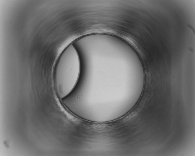 X0000102501046200808080940
