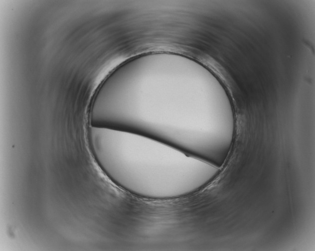 X0000102501048200808080940