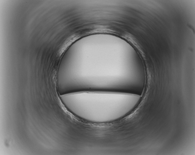 X0000102501049200808080940