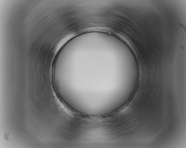 X0000102501050200808080940