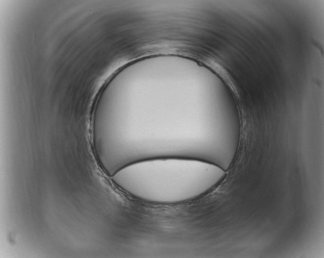 X0000102501051200808080940