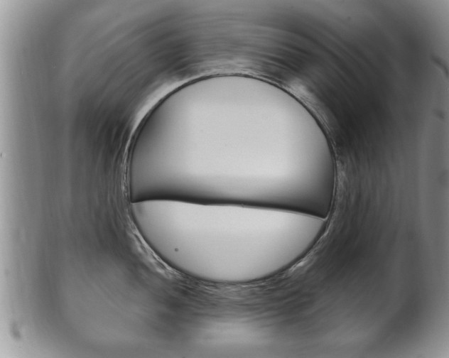 X0000102501052200808080940