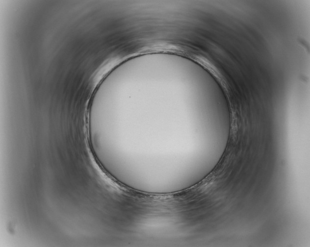 X0000102501055200808080940