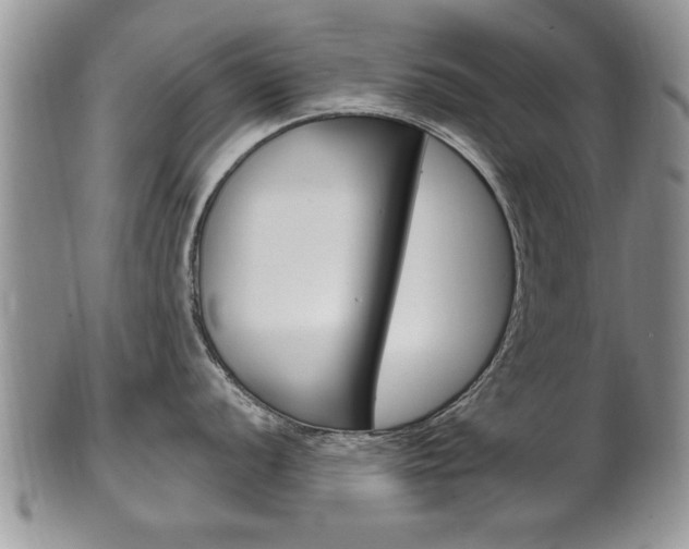 X0000102501056200808080940