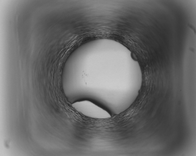 X0000102501057200808080940