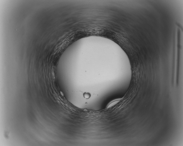 X0000102501058200808080940