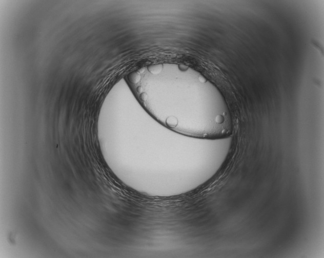 X0000102501059200808080940