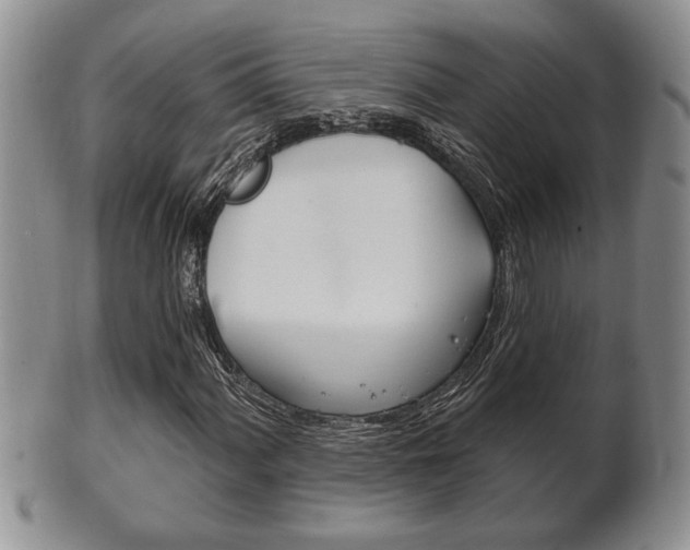 X0000102501060200808080940