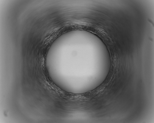 X0000102501061200808080940