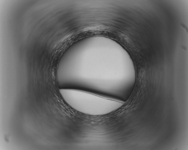 X0000102501062200808080940