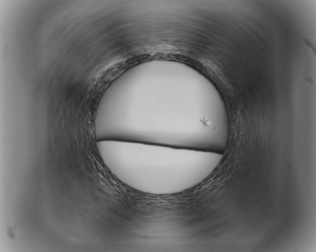 X0000102501063200808080940