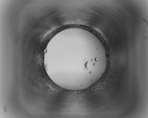 X0000102501064200808080940