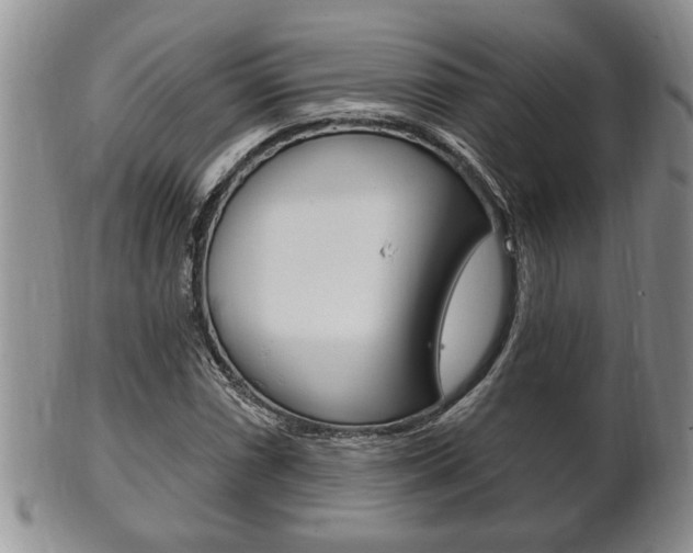 X0000102501066200808080940