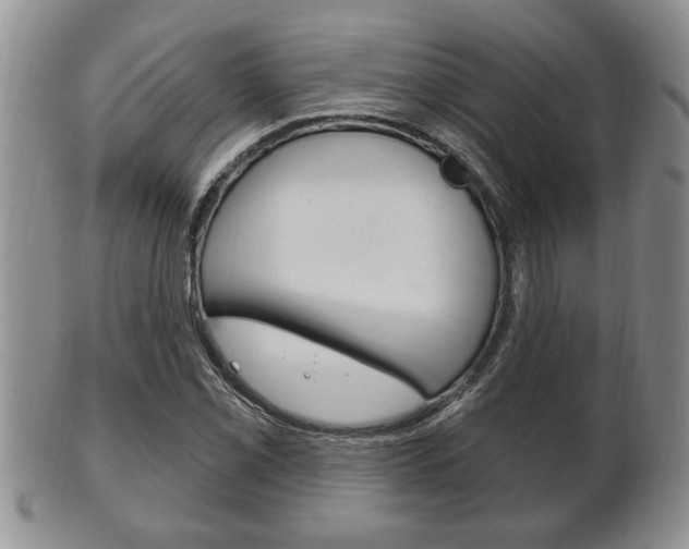 X0000102501069200808080940