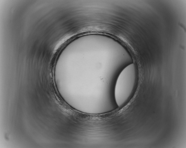 X0000102501070200808080939