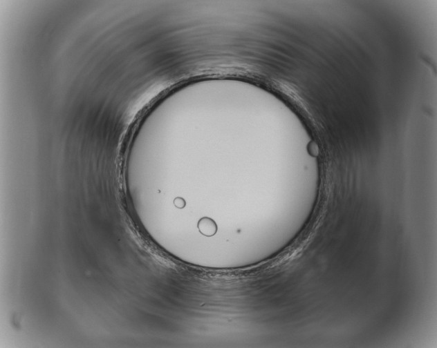 X0000102501071200808080939