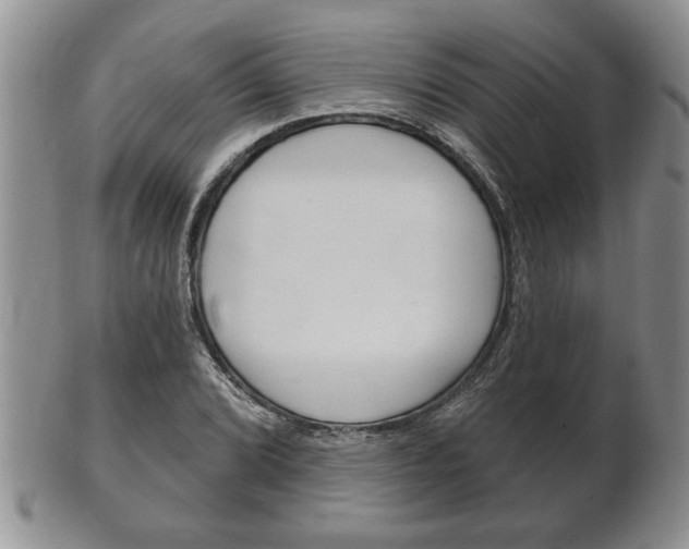 X0000102501072200808080939