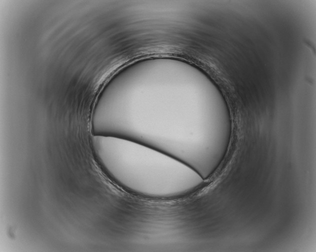 X0000102501073200808080939