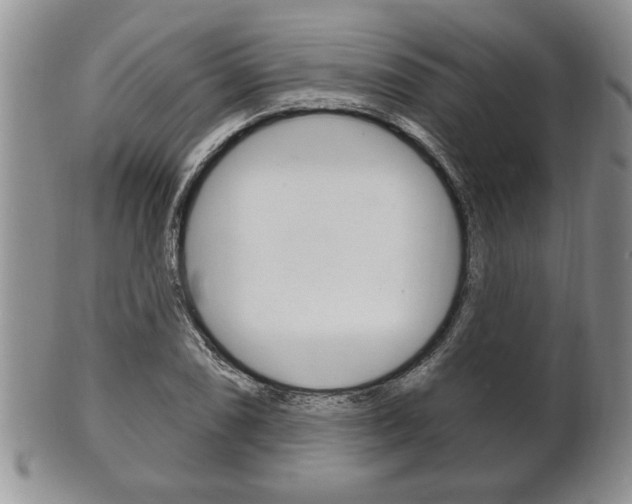 X0000102501074200808080939