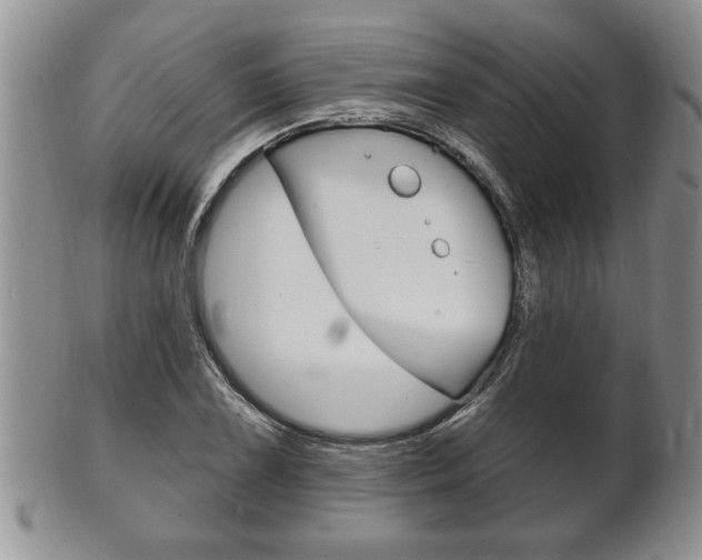 X0000102501075200808080939