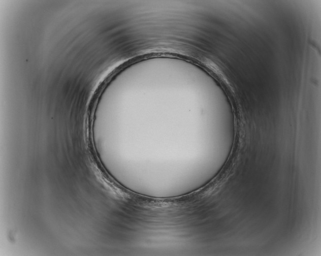 X0000102501076200808080939
