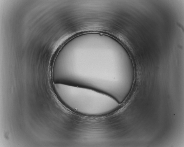 X0000102501077200808080939
