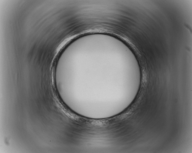 X0000102501078200808080939